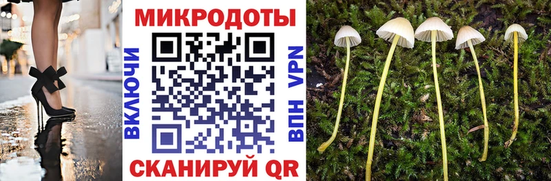 Псилоцибиновые грибы Cubensis  ссылка на мегу ссылка  Кунгур 